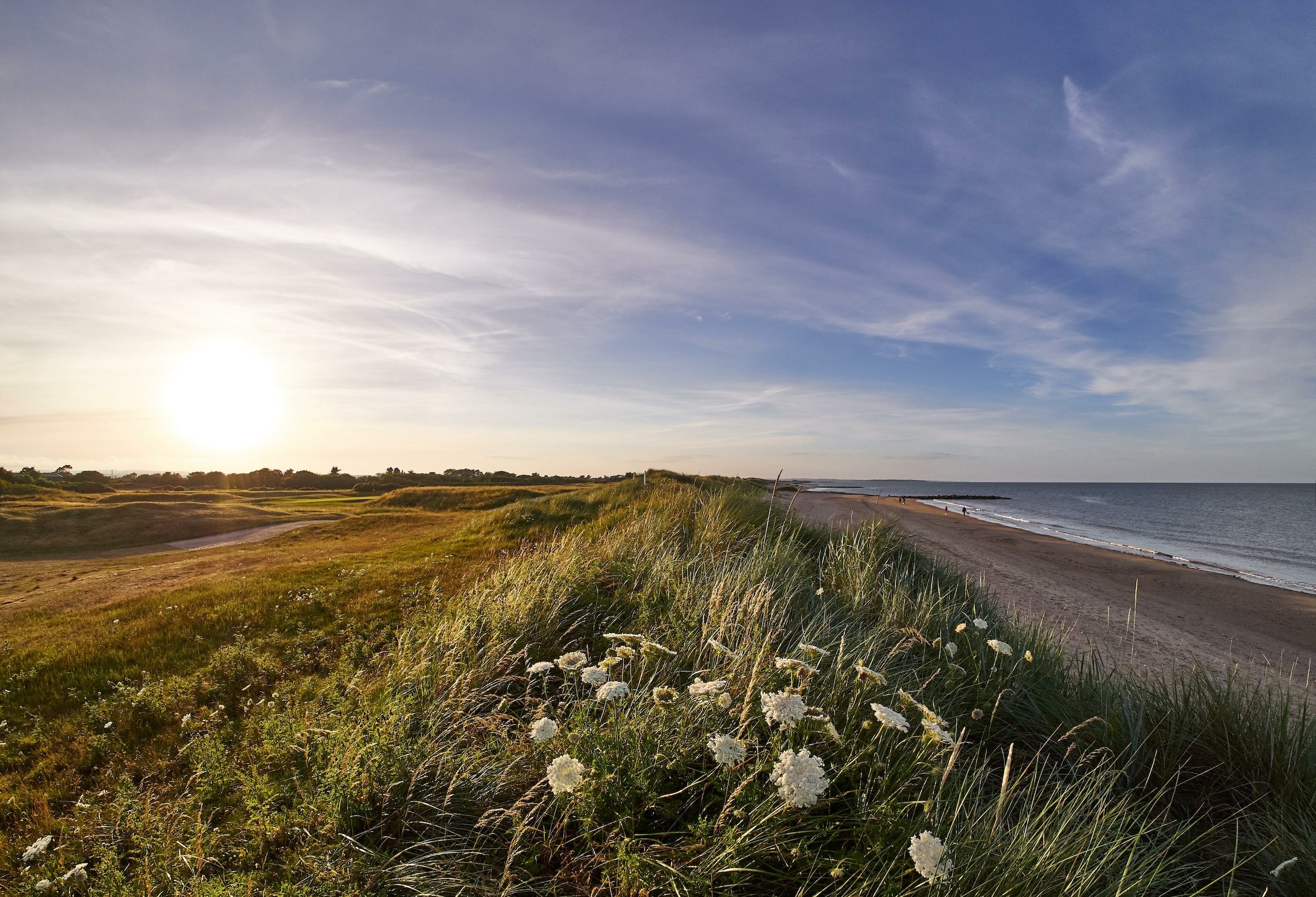 Die Dünen von Rosslare Strand, nur wenige Kilometer vom Fährterminal entfernt - ein schöner erster Eindruck von Irland.